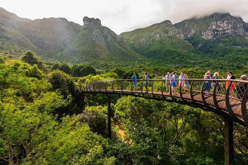 Le Cap : billet d'entrée au jardin botanique de Kirstenbosch