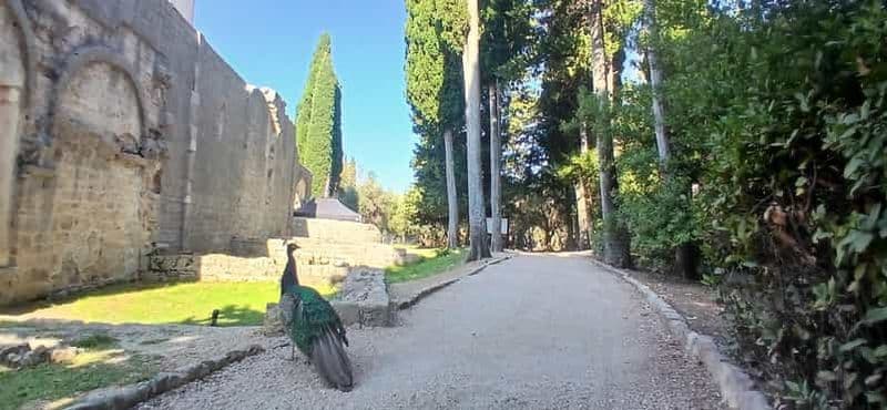 Randonnée sur l'île de Lokrum : histoire, nature et récits