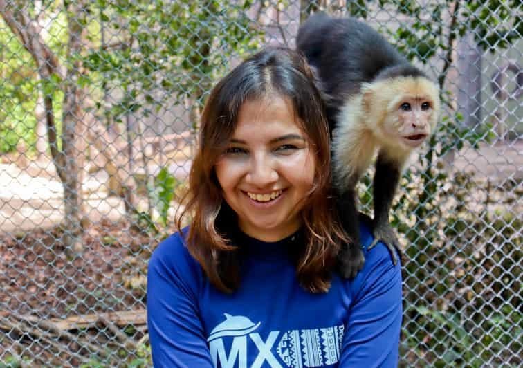 Billet Akumal : Visite du sanctuaire des singes et plongée en apnée dans la baie de Yal-Ku.