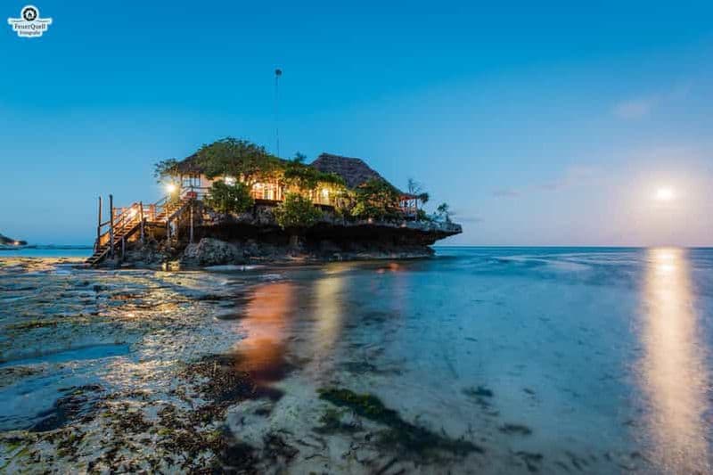 Billet Zanzibar : Forêt de Jozani, colobes rouges, visite du Rock Restaurant