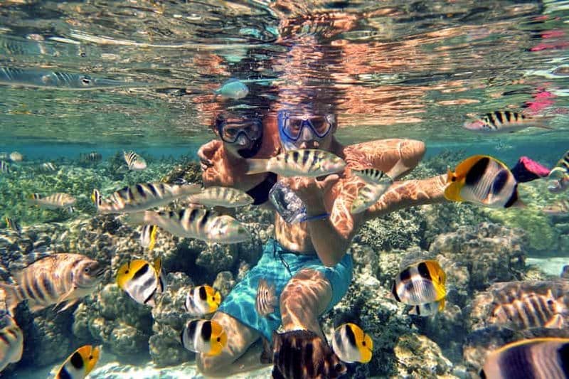 Billet Raiatea : visites et baignades en bateau autour de l'île de Tahaa.
