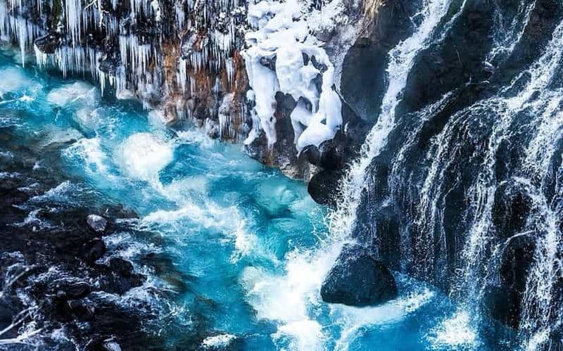Sapporo : zoo d'Asahiyama, étang bleu et source chaude