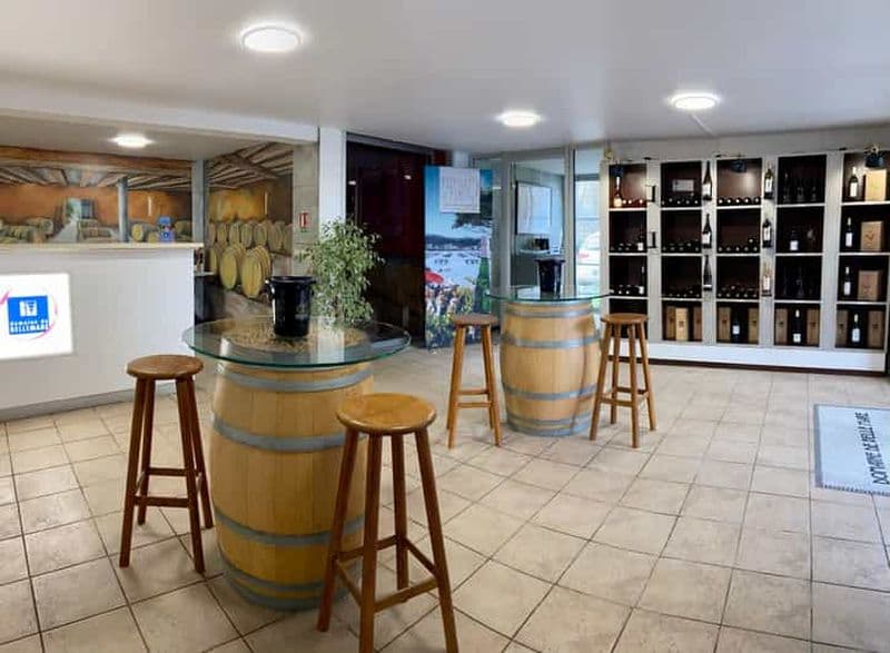 Mèze: Visite Guidée du Domaine & Dégustation de Vins