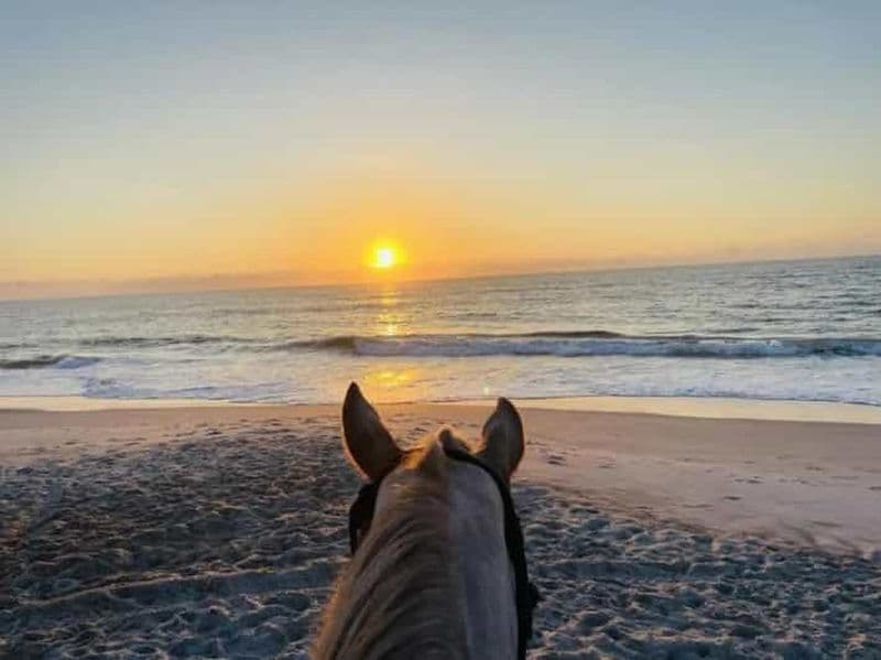 Amelia Island : balade à cheval le matin ou le soir sur la plage