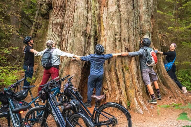 Vancouver : Visite du parc Stanley à vélo