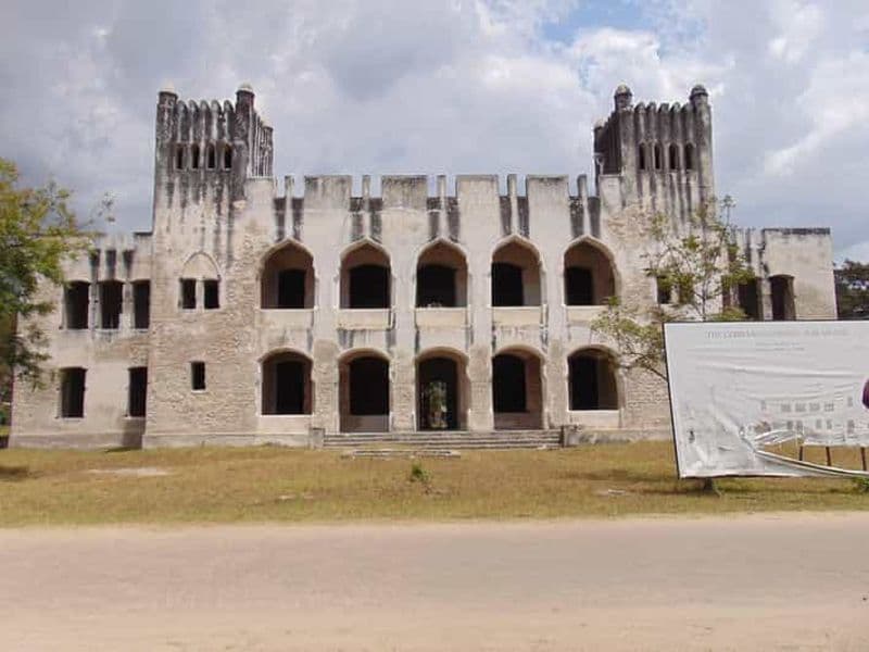 Billet Nagez avec les requins-baleines sur l'île de Mafia, vol depuis Zanzibar
