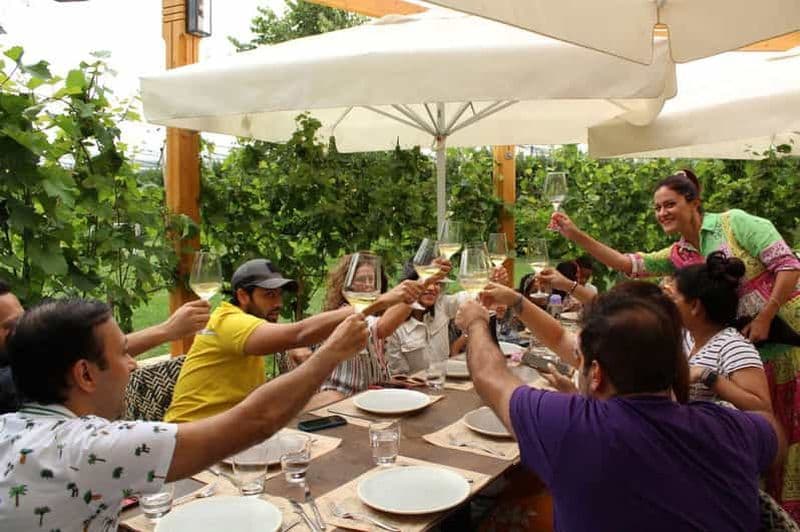 Billet Depuis Belgrade ou Novi Sad : Visite privée des vignobles de Fruska Gora