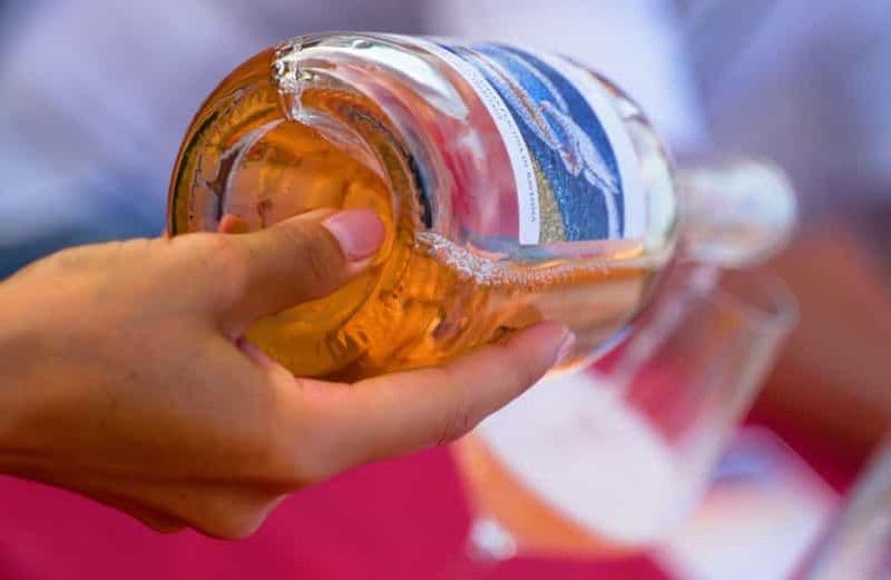 Visite d'un domaine viticole avec dégustation de vins et de mets près de Ravenne