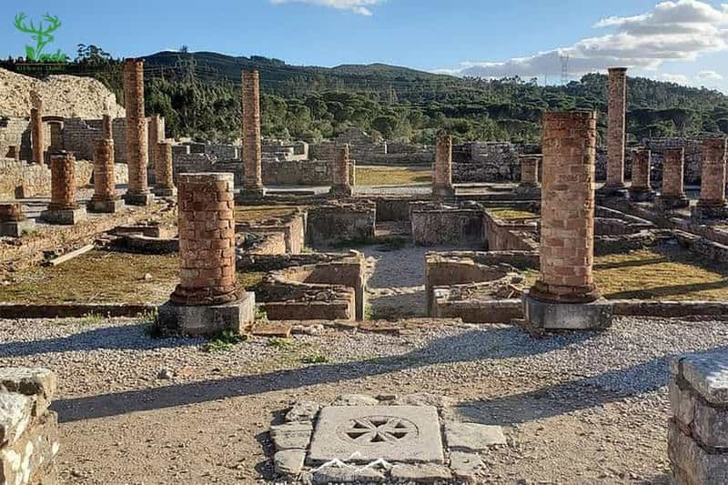 Billet Coimbra : visite des ruines de Conimbriga et du patrimoine romain
