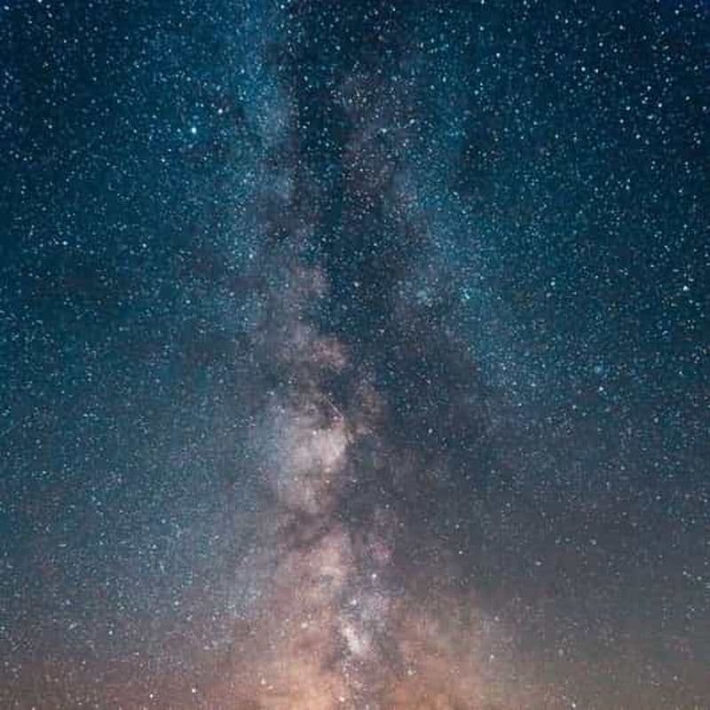 D'Oulan-Bator : Mini Gobi, Cheval sauvage - Visite de Terelj