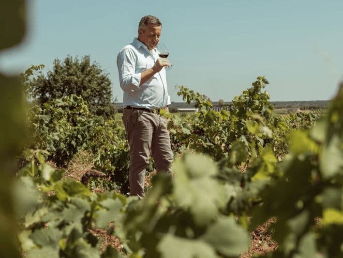 Billet Promenade dans les vignes et dégustation dans une cave de la Masseria à Tarente