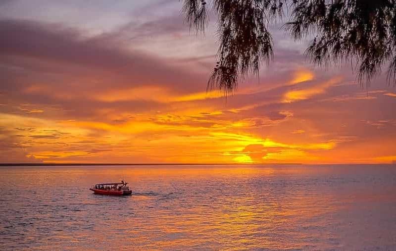Billet Darwin : Croisière au coucher du soleil dans le port avec dîner Fish and Chips