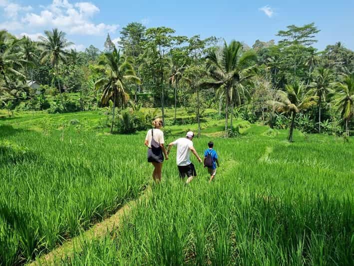 Lombok : Visite à pied des rizières et chute d'eau de Benang Kelambu