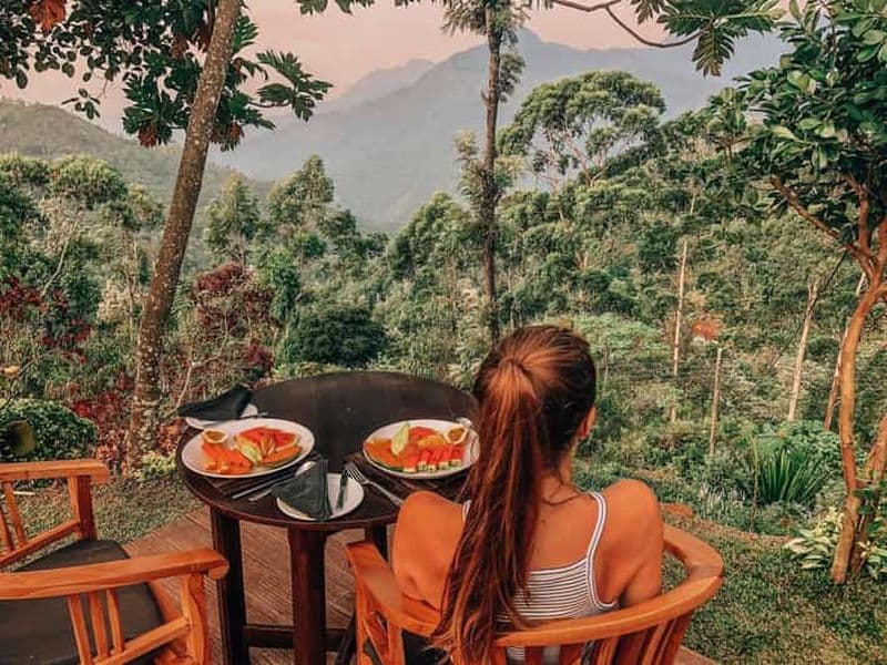 Billet Faites appel à un chauffeur privé pour les excursions d'une journée au Sri Lanka