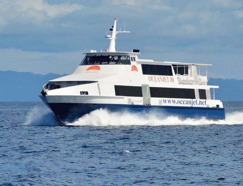 Cebu-Bohol : Visite de la ferme Choco avec collines de chocolat et tarsiers
