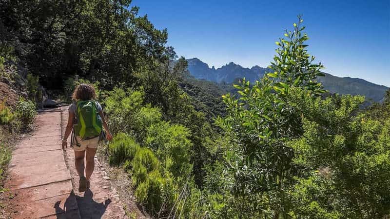 Billet De Funchal : Transferts du sentier de randonnée Ribeiro Frio à Portela