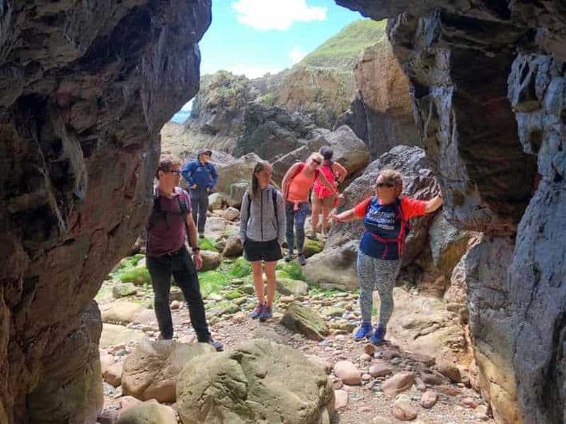 Dublin : Randonnée safari à Howth