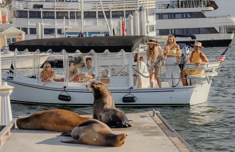 Los Angeles : Croisière de luxe avec vin, fromage et otaries