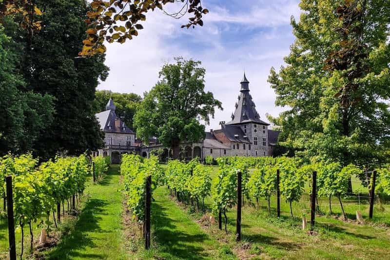 Billet Bioul (près de Dinant) : Visite du Château de Bioul et dégustation de vins