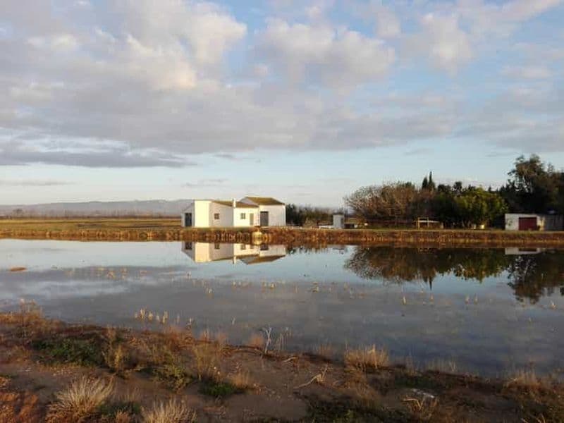 Billet Delta de l'Ebre : Visite guidée du nord du delta avec un habitant de la région