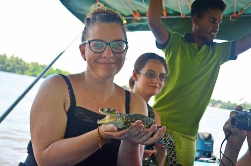 Billet Safari sur la rivière Bentota avec découverte de la mangrove et de la faune sauvage