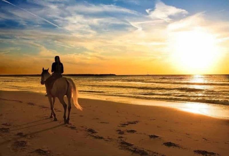 Phuket : Excursion à cheval sur la plage du coucher du soleil