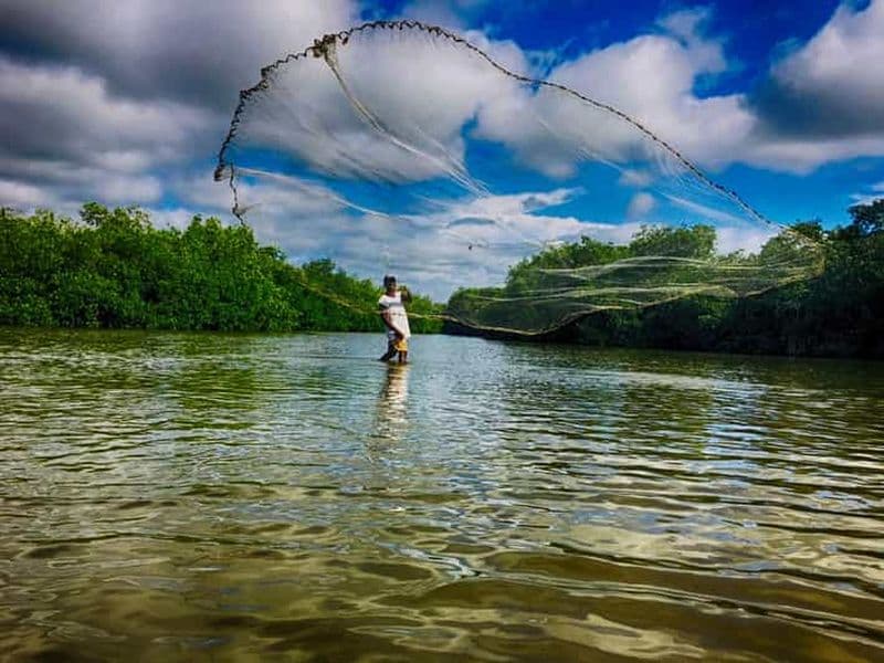 Billet Excursion en canoë dans la mangrove à La Boquilla Guide allemand ou italien