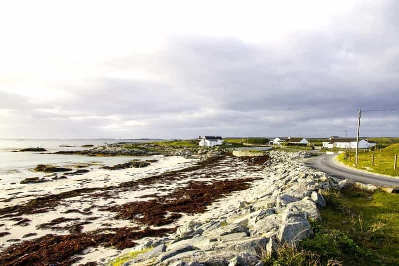Billet Au départ de Galway : Connemara, îles d'Aran, croisière et visite du Burren