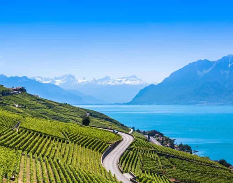Billet Visite privée Genève-Gruyère : chocolaterie et fromagerie