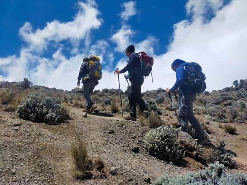 Billet Arusha : Trekking de 3 jours au Mont Meru avec hébergement