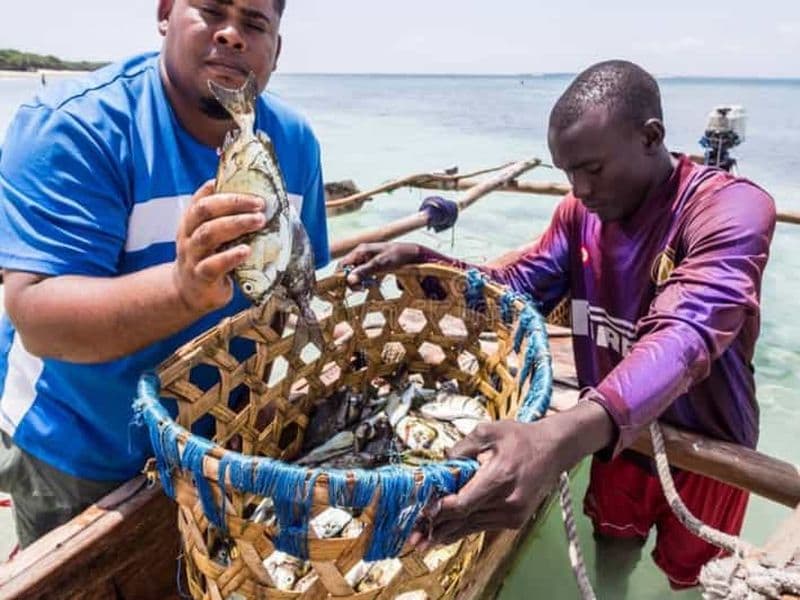 Billet Pemba : visite de l'île de Kojan et du marché aux poissons de Tumbe
