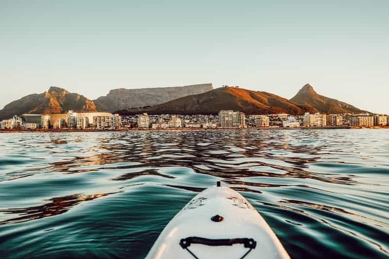 Le Cap : Excursion en kayak à la découverte de la vie marine depuis le V&A Waterfront