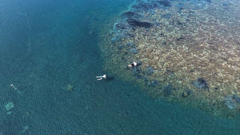 Billet Snorkeling guidé par une biologiste marine Île de Vulcano, Îles Éoliennes