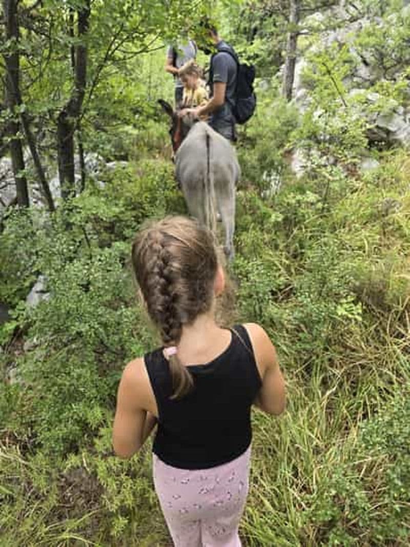 Billet Promenade guidée à dos d'âne à Kvarner/Šmrika, grotte et lieu de pique-nique panoramique