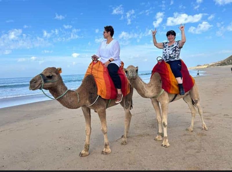 Billet Tanger : visite touristique privée d'une jounée avec balade à dos de chameau