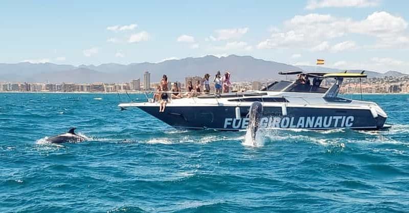 Fuengirola : Observation des dauphins en yacht avec snacks et boissons
