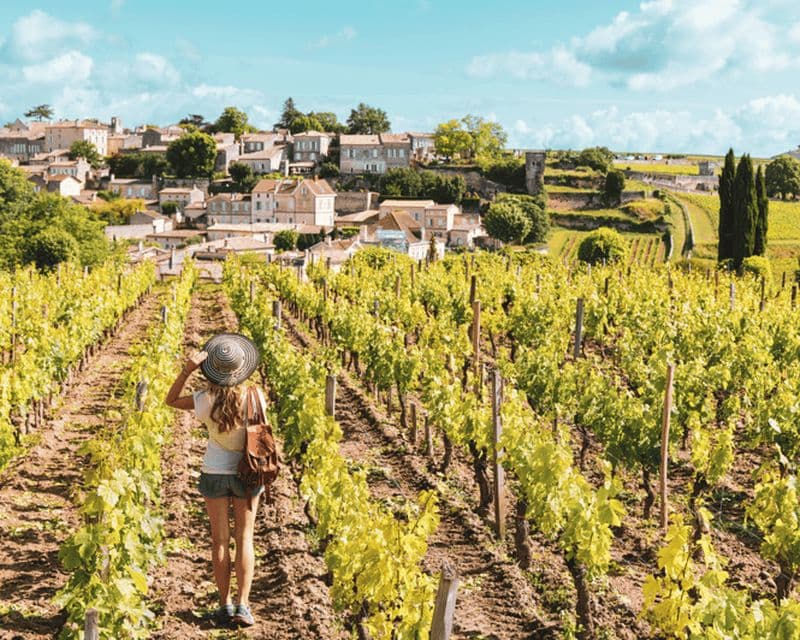 Billet Depuis Bordeaux : visite œnologique de Saint-Émilion et Pomerol