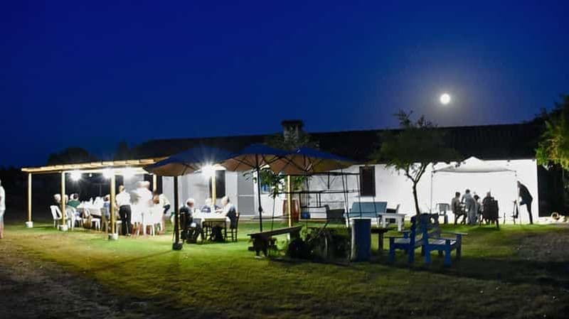 Alghero : Dîner dans le vignoble avec du vin