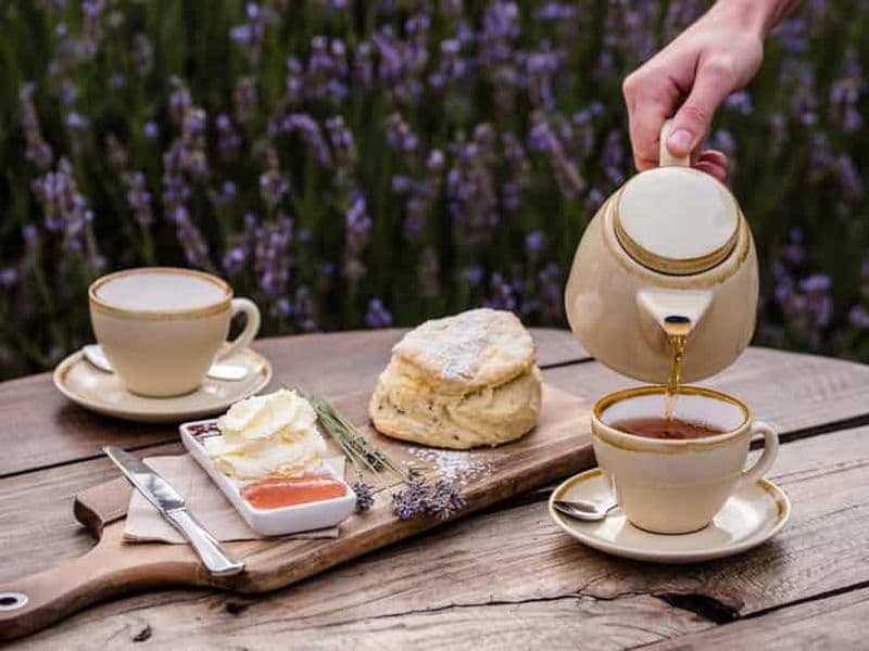 Depuis Penneshaw - Une dégustation de Kangaroo Island