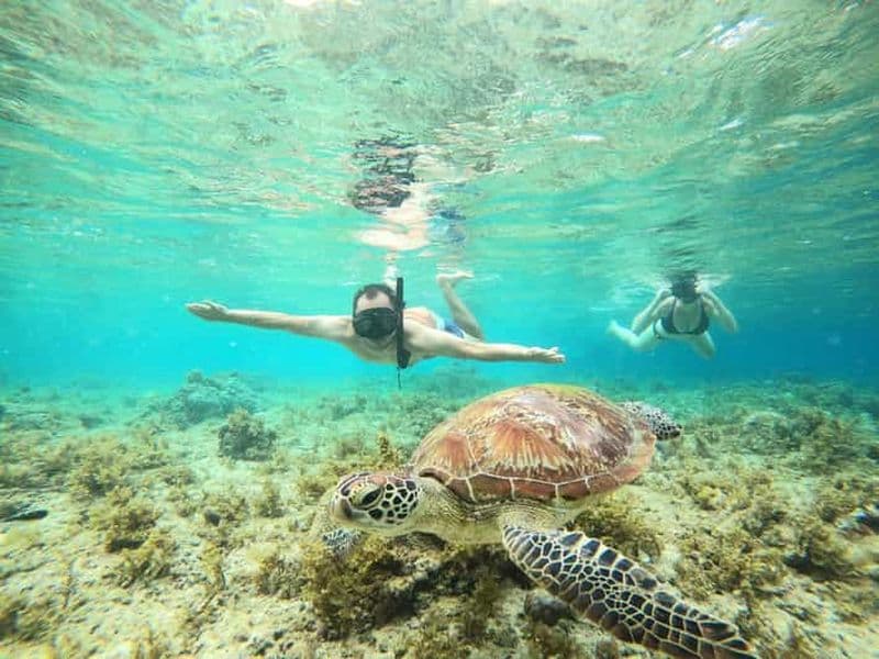 Billet Cebu : plongée en apnée à Sardine Run, chutes de Mantayupan et sensations fortes en VTT