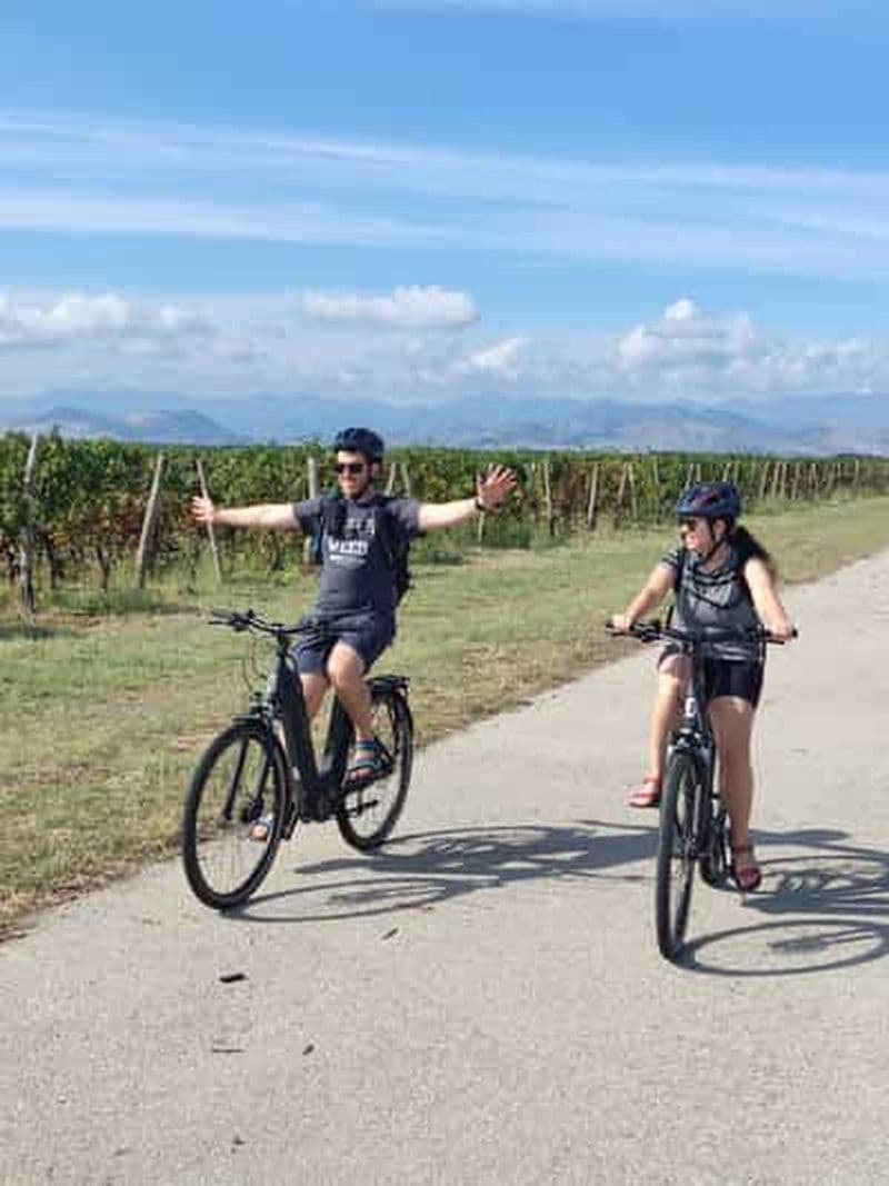 Podgorica : excursion en vélo électrique avec dégustation de vin et cascades