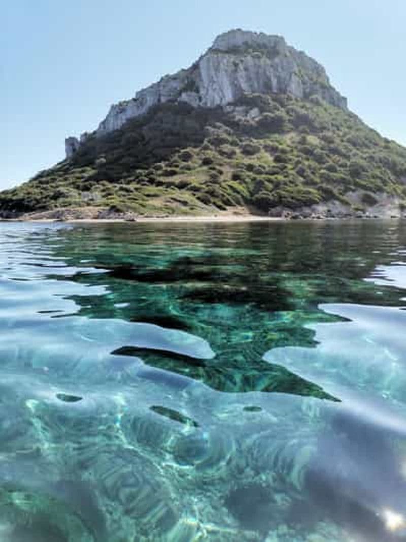 Billet Olbia : excursion d'observation des dauphins et plongée avec tuba à l'île de Figarolo