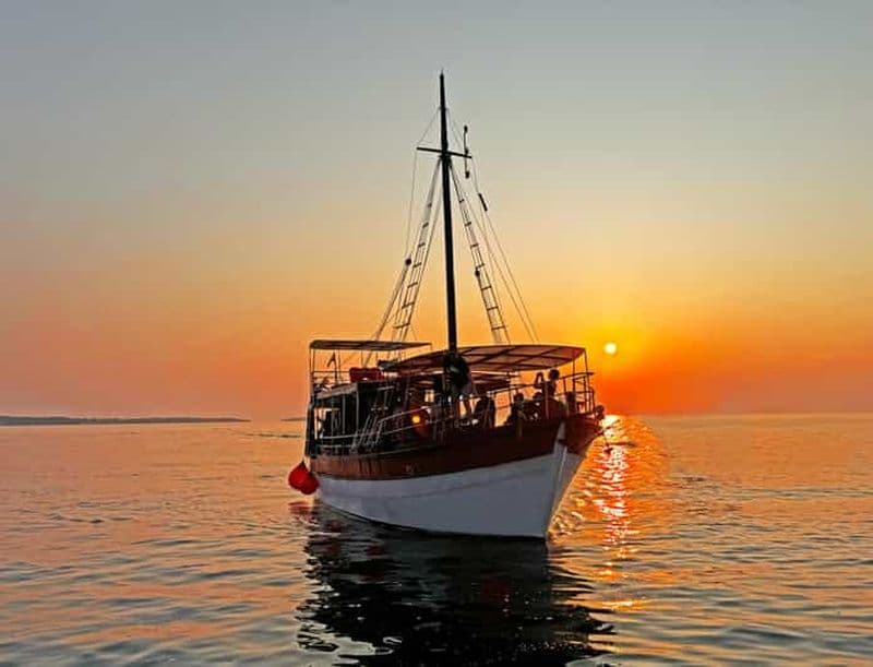 Billet Fazana : dauphins de Brijuni et dîner avec boissons, dans le respect de l'environnement