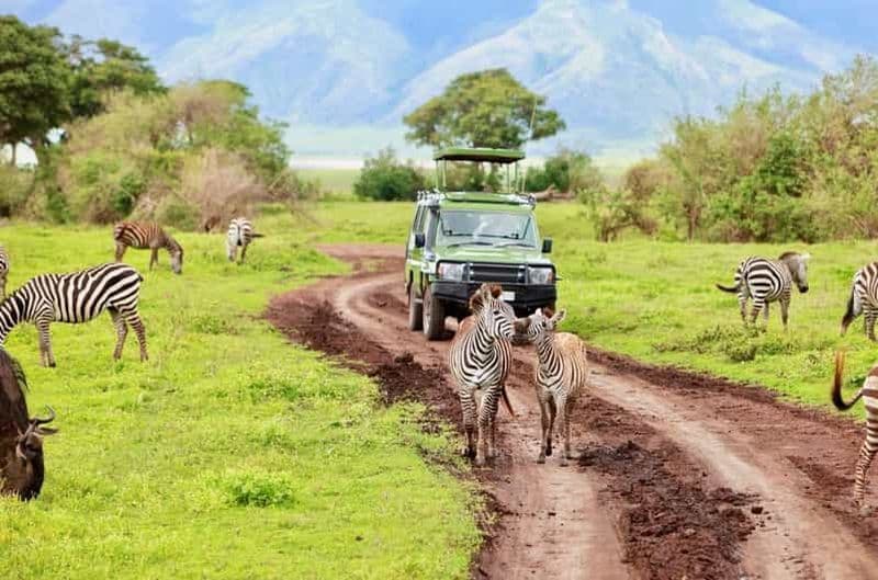 Billet 4 jours de safari au camp sauvage du Ngorongoro et au lac Manyara
