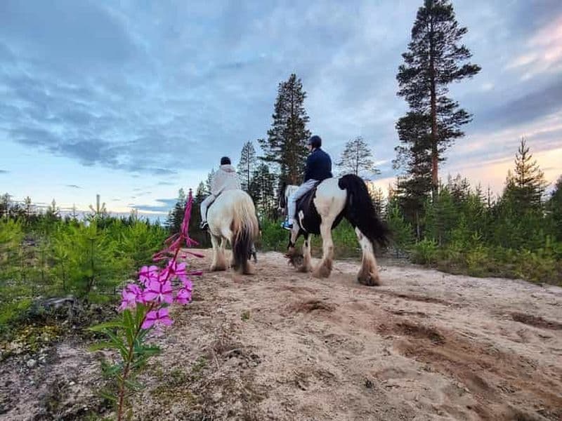Rovaniemi: Balade à cheval sous le soleil de minuit