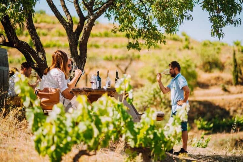 Billet Falset : visite guidée des vins du Priorat par un local