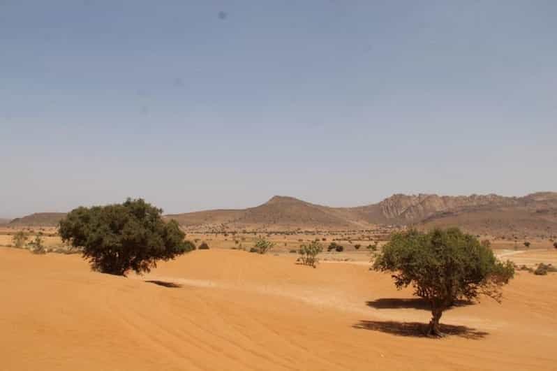 Billet Agadir : Désert du Sahara et Médina de Tiznit : visite privée et déjeuner