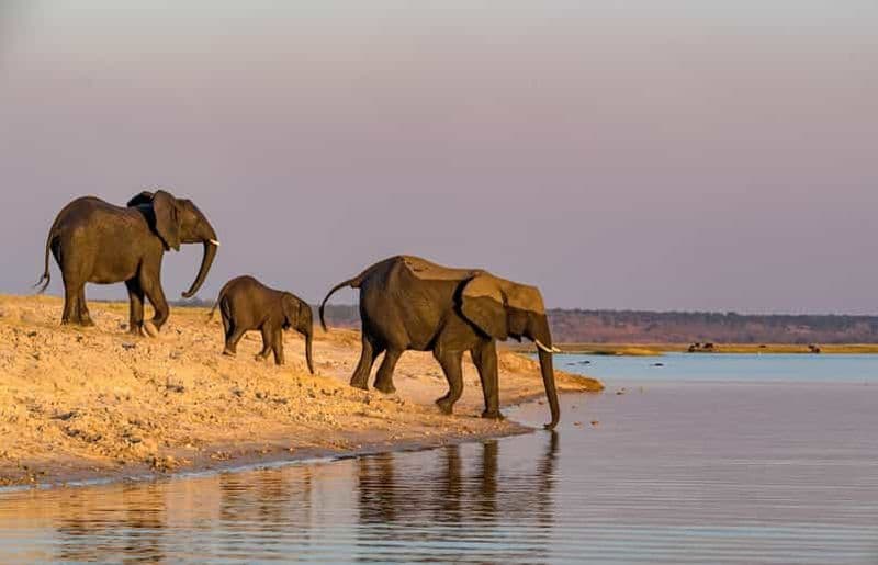 Billet 2 Jours 1 Nuit Tarangire & Cratère du Ngorongoro