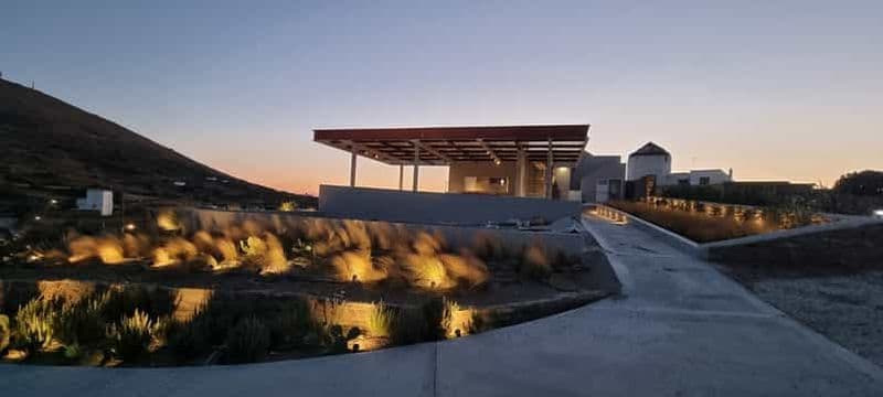 Tinos : Visite d'un vignoble et dégustation de vins accompagnés de collations