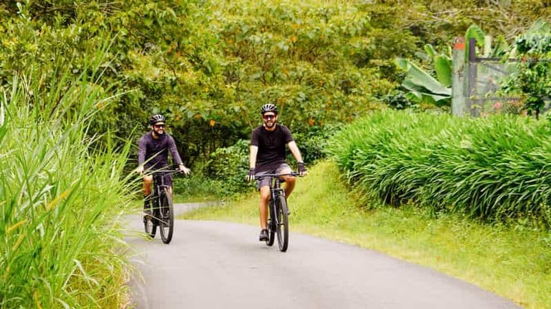 Billet Boquete : visite panoramique guidée en vélo électrique